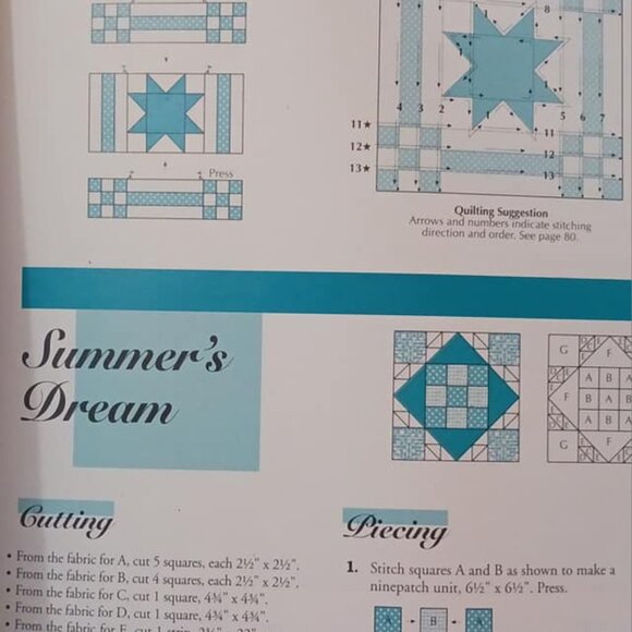 Block by Block: New Techniques for Machine Quilting and Assembly - Picture 4 of 4